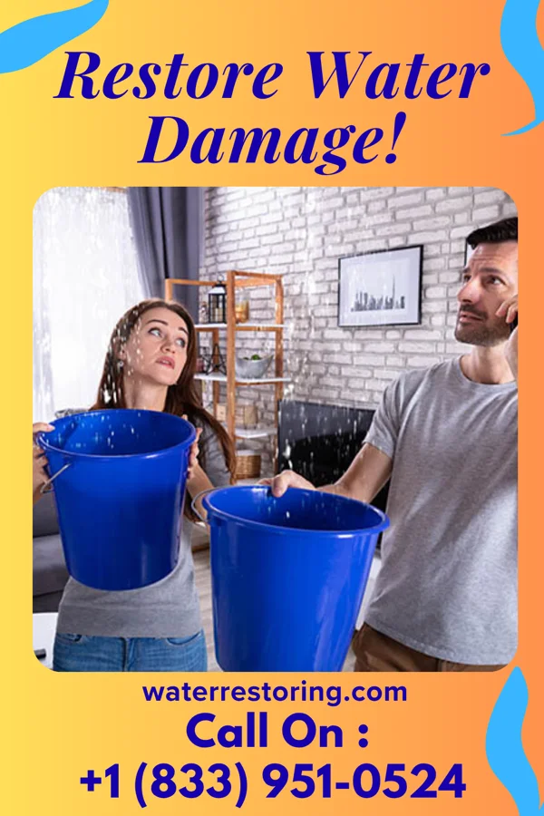 water restoration Ironclad Extraction Experts Westwood