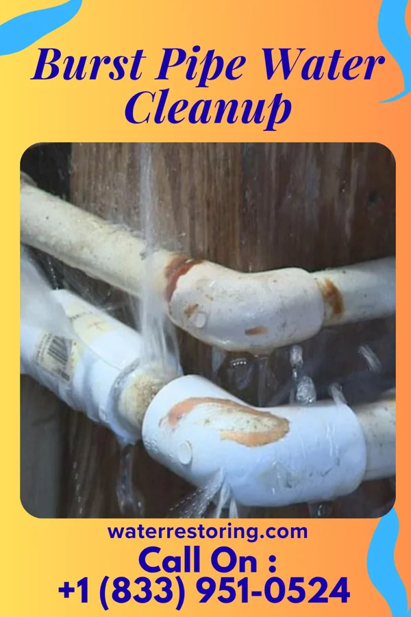 Burst Pipe Water Cleanup in Westwood, MI