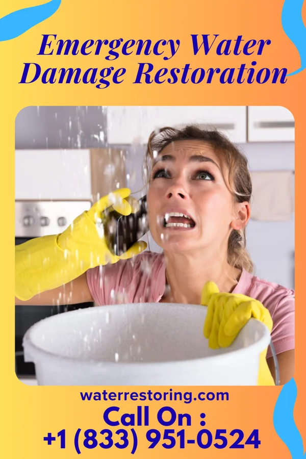 Emergency Water Damage Restoration in Westwood, MI