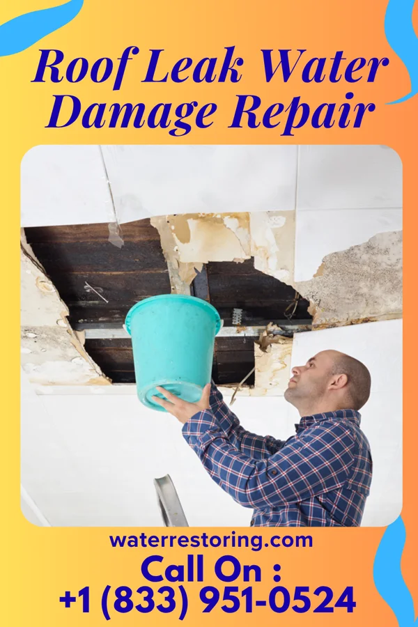 Roof Leak Water Damage Repair in Westwood, MI